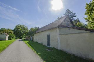 Le paradis des ecureuils - 7