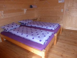 Binsalm- Schutzhütte - 2