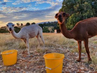 Gem View - Tiny home - 4