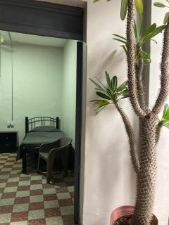 CENTRO 116 HOSTAL para mujeres females only - Guadalajara - 8