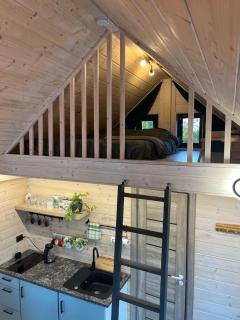 Smiltsērkšķu namiņš - 2