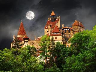 Maison Bramber- a Home for those who seek it. - Predeluţ - 3