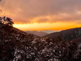 Crow's Nest 2 - Falls Creek - 1