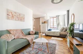 Grand studio 34m2, Paris Disneyland, Aéroport CDG, Parc Asterix, Gare de Chelles Gournay - Le Pin - 2