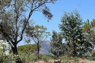 L'Étoile du Lac - Puget-sur Argens - 3