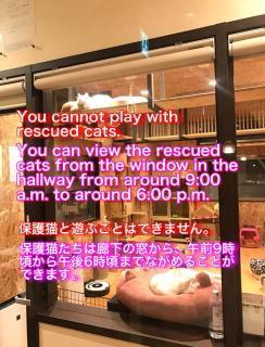 Nekokura Hostel - Fukuoka - 6