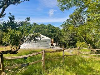 Pandy Farm Yurt - Panoramic mountain views within Snowdonia's National Park - 4x4 recommended - 8