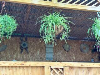 Home and Garden EuroVelo 6 - - 3