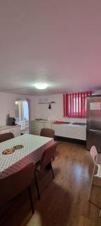 Casa Vlaicu - 9