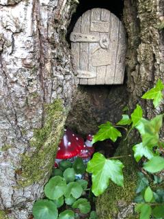 Beaurepaire Bell Tent - 9