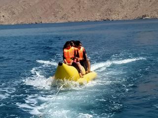 Full Day Cruise - Dibba Musandam - - 4
