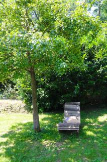 Ferienwohnung Kellerwald Edersee Jesberg - Jesberg - 7
