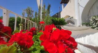 Halgoduria - Santa Marina Salina - 4