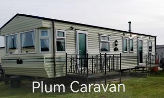 Plum 1 Coral Beach Ingoldmells 3 bed 8 berth - Skegness - 0