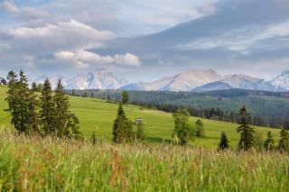 mc82 - Anna i Marek Łukaszczyk - 8