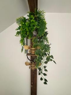 the olive tree bistro - Fakenham - 6