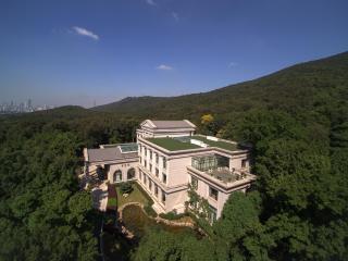 Nanjing Dongjiao State Guesthouse - Nanjing - 9