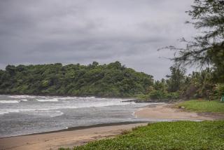 Talpona Beach Studios - Canacona - 8