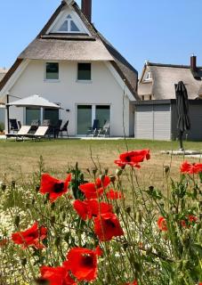 Lotta - Ferienhaus mit Kamin und Sauna für 7 Personen - Pepelow - 9