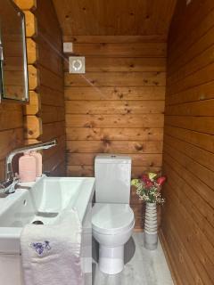 Omagh - Lower Bracky - 1