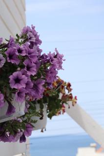 Hotel AGEL - Sarandë - 9