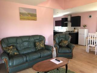 Wagtail Lodge - Lackford - 4