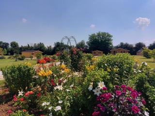 Domaine De Soignolles - 2