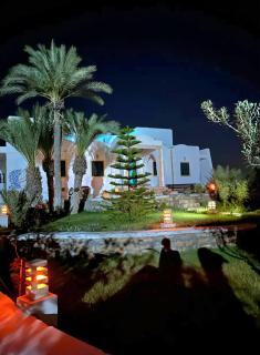 Résidence Ulysse Djerba - Mezraya - 0