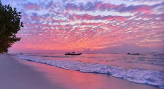 Sunset Surfing Villas Mentawai - 7