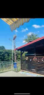 Villa paradise with pool and Direct Beach on River Una - Bosanski Novi - 3