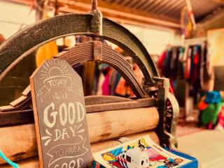 Vintage caravan in old orchard at farm Huize Blokland - 8