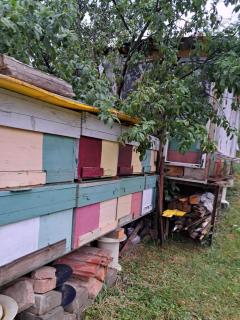 Căsuța din Prisacă - Sighişoara - 7