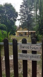 Borostyán Vendégház - Tiszaug - 0