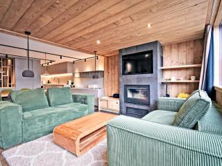 Chalet familial 12 pers avec jacuzzi et ski-in/ski-out - FR-1-613B-40 - Les Bruyères - 0