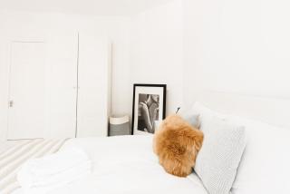 The White Leopard - Stylish 3BR in Chelsea - Londra - 3