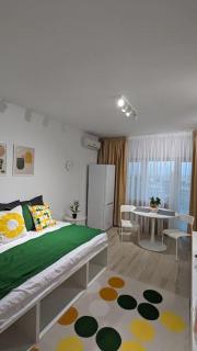 Blissful Ghencea Studio 1110 - 5