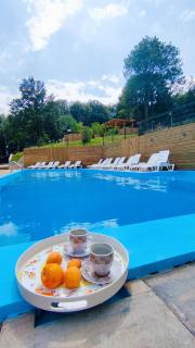 Apartman AQUARELLE sa bazenom, Delux apartman sa bazenom - 1