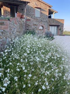 Entire luxury farmhouse with HEATED pool - views on Tuscany and Umbria - Paciano - 4