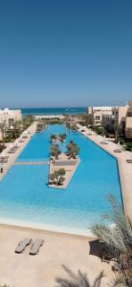 Mangroovy EI Gouna A F - Hurghada - 0