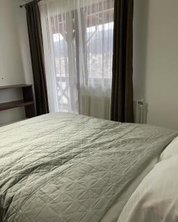 Coco Home - Buşteni - 1
