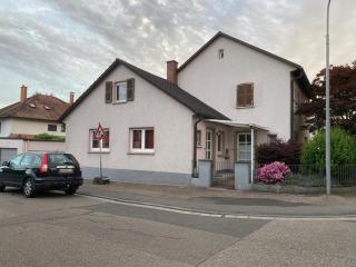 Bienwald - Kandel - 0