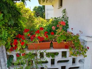 B&B Villa Bucceri - Cardano al Campo - 6