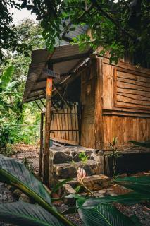 Flutterby House Hostel - Uvita - 7