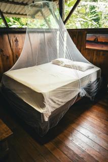 Flutterby House Hostel - Uvita - 4