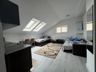 Open space apartment near Untold - Cluj-Napoca - 9
