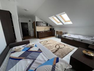 Open space apartment near Untold - Cluj-Napoca - 7