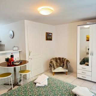 Studio chaleureux au cœur du manoir - Saint-Jouan-des-Guérets - 9