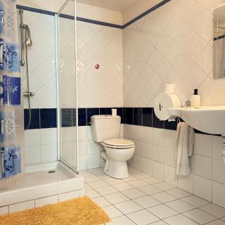 Studio chaleureux au cœur du manoir - Saint-Jouan-des-Guérets - 3