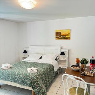 Studio chaleureux au cœur du manoir - Saint-Jouan-des-Guérets - 0