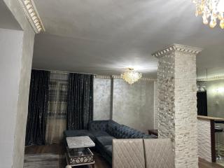 Penthouse Mario - 1